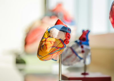 The Reduction of the Productivity Burden of Cardiovascular Disease by Improving Risk Factor Control Among Australians with Type 2 Diabetes: A 10-Year Dynamic Analysis
